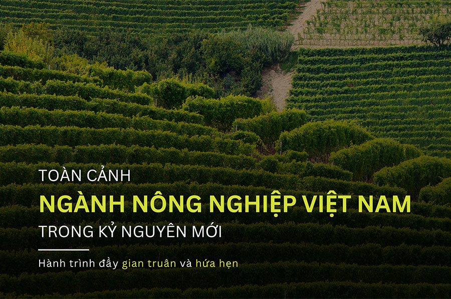 THE CURRENT SITUATION OF VIETNAM'S AGRICULTURAL INDUSTRY