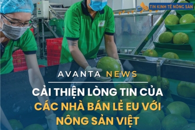 Cải Thiện Lòng Tin Của Các Nhà Bán Lẻ EU Với Nông Sản Việt